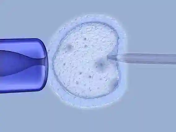 南通当多元家庭拥抱新生命：解锁 “彩虹生子” 的温暖密码
