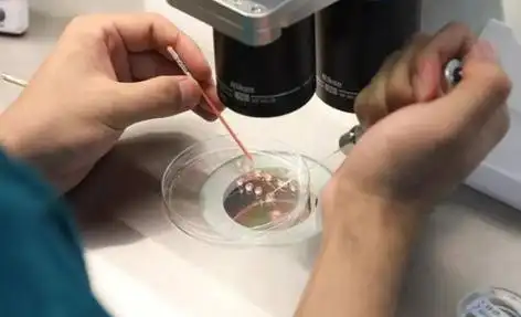 成都打破偏见的生命礼赞：同性生子背后的爱与坚守